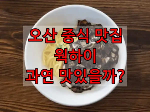  (솔직한 맛평가) 오산 중식 맛집 - 웍하이