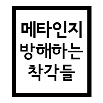 메타인지를 방해하는 착각