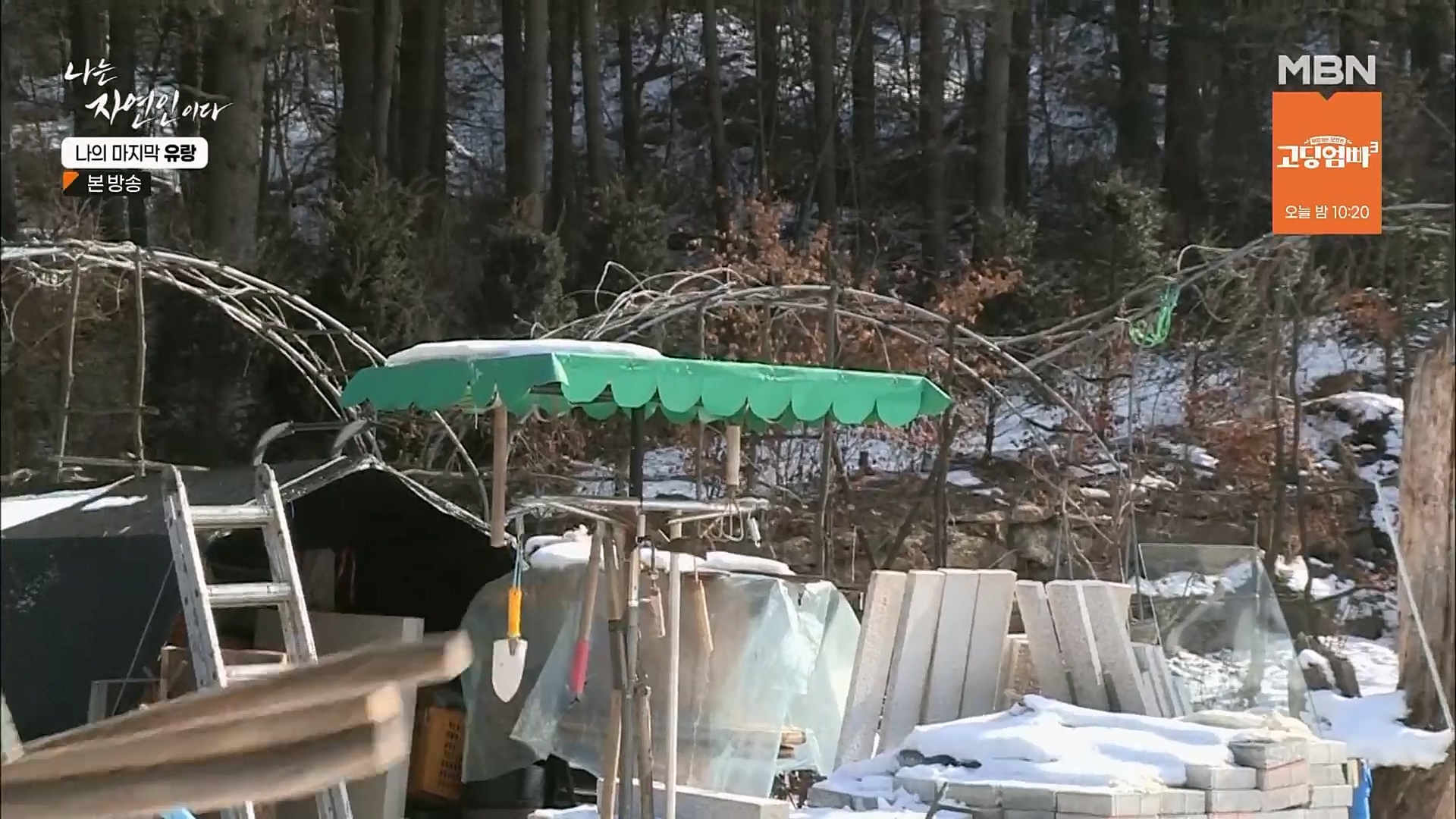 나는 자연인이다.E541.230215p.H264-F1RST.mp4_20230216_192659.919.jpg