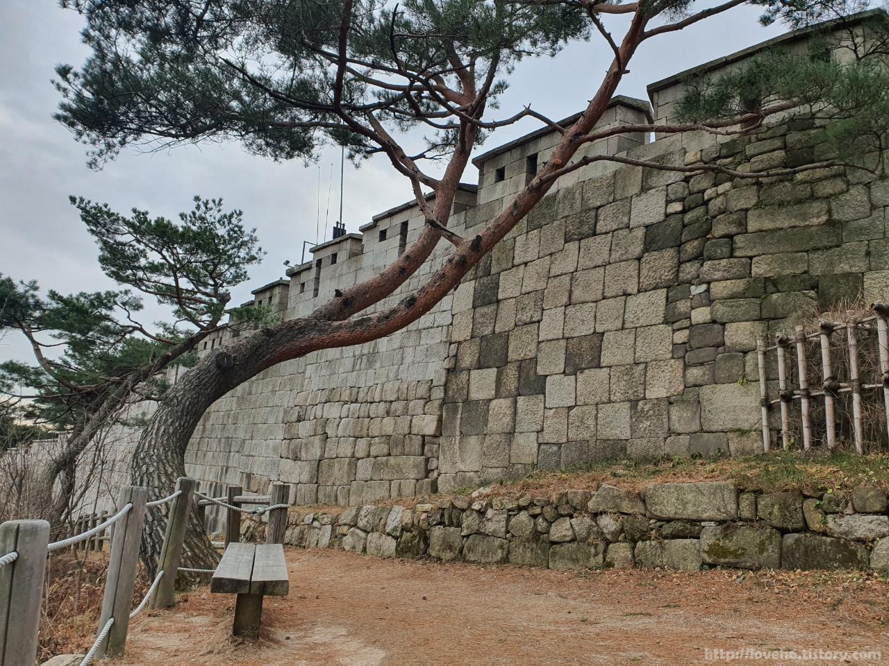 북악산_北岳山_Bukaksan/가기전 뒤돌아 보는데
왔던길에 이뻐서
사진으로 남겨보았습니다
벤치와 소나무와 성벽이 한데 어우러져 너무 예쁜 모습이었거든요