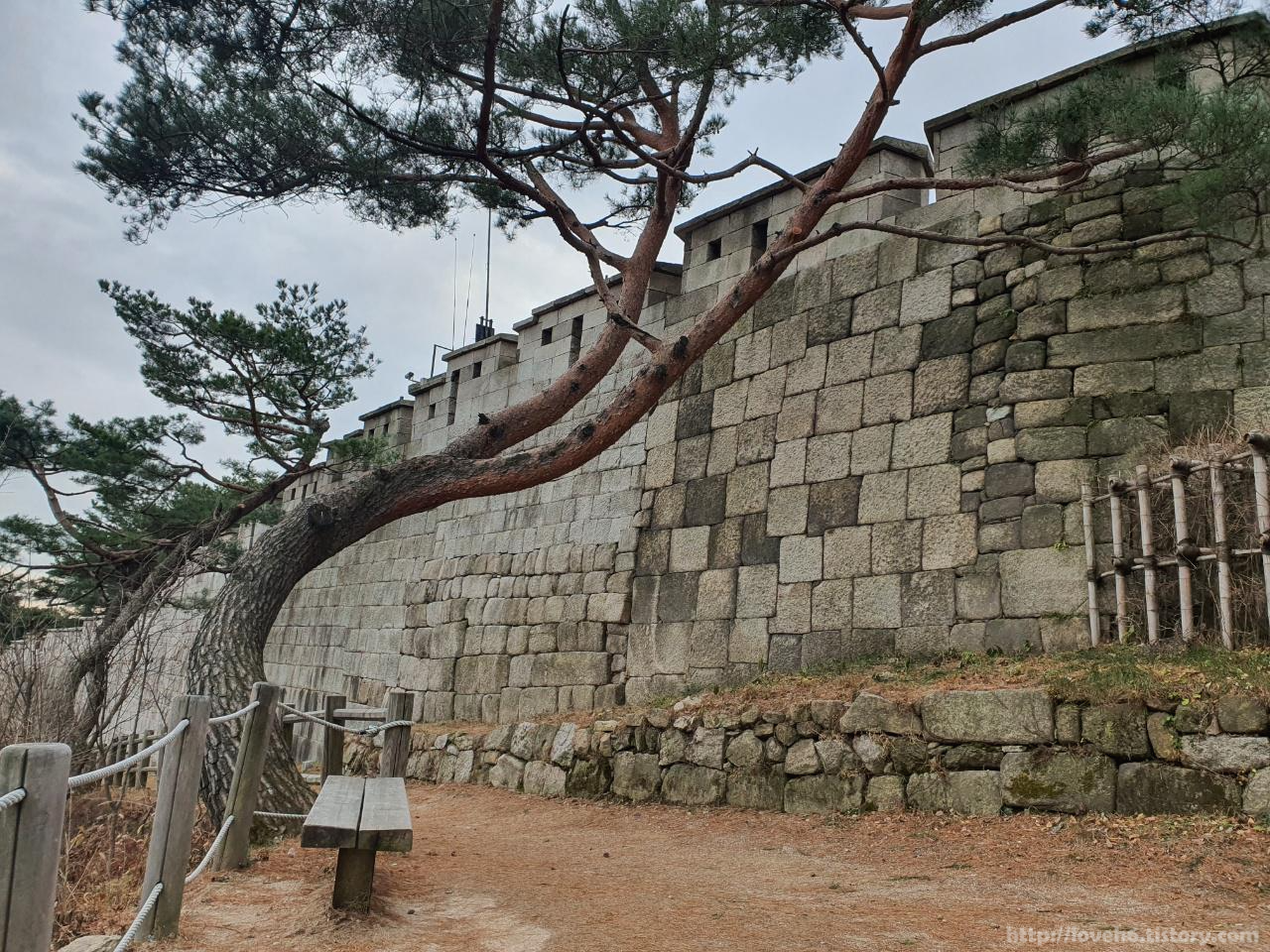 북악산_北岳山_Bukaksan/가기전 뒤돌아 보는데

왔던길에 이뻐서

사진으로 남겨보았습니다
벤치와 소나무와 성벽이 한데 어우러져 너무 예쁜 모습이었거든요