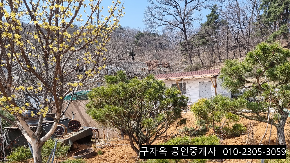 강화도농원 접근성이 좋은 강화읍농원 256평 2억1500만원 강화도부동산 7