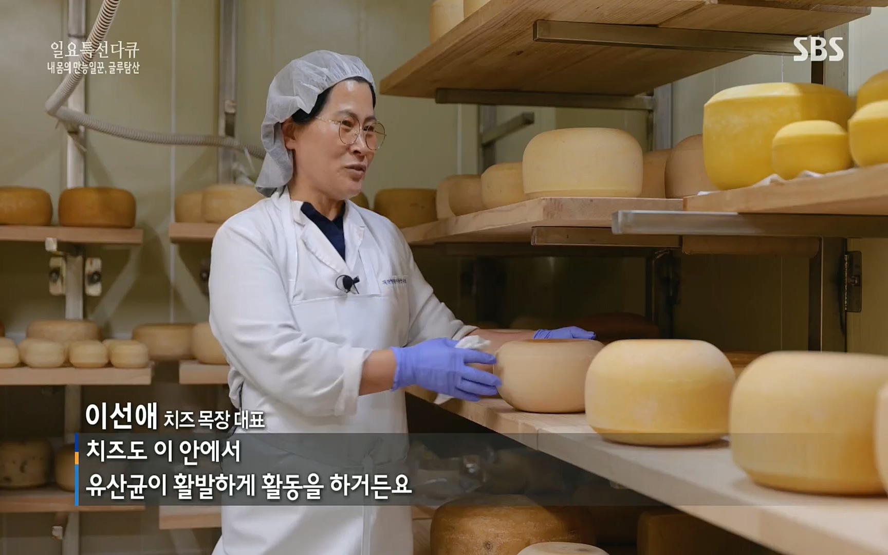 일요 특선 다큐멘터리.E283.220717p.H264-F1RST.mp4_20220718_202858.043.jpg