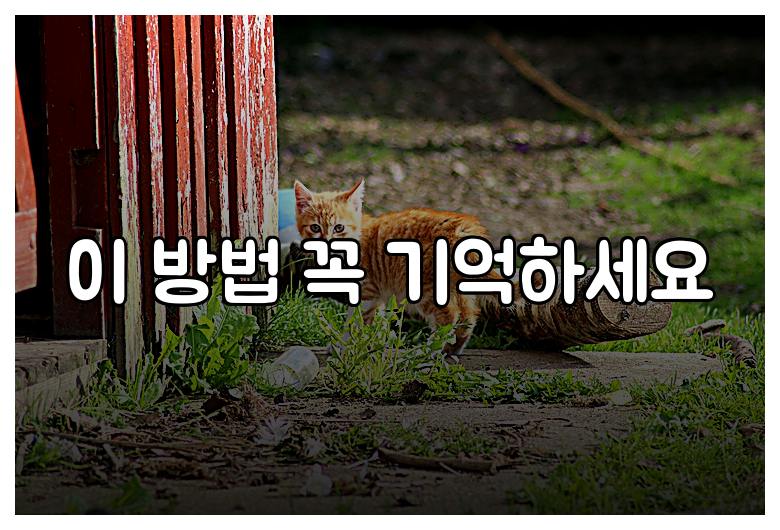 이 방법 꼭 기억하세요