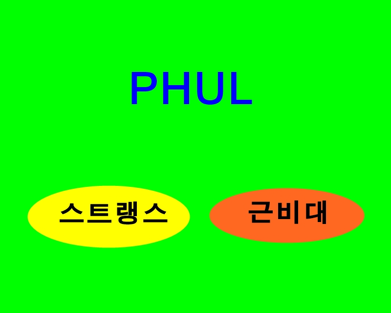 PHUL 루틴