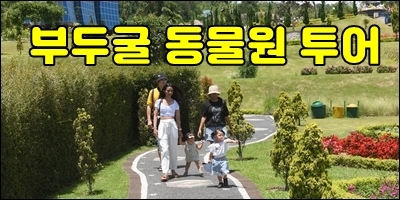  발리 데이투어 발리 부두굴 동물원투어