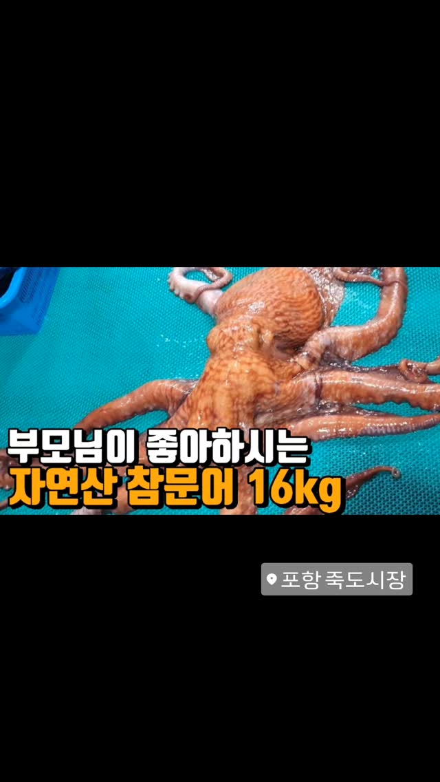 메밀묵무침