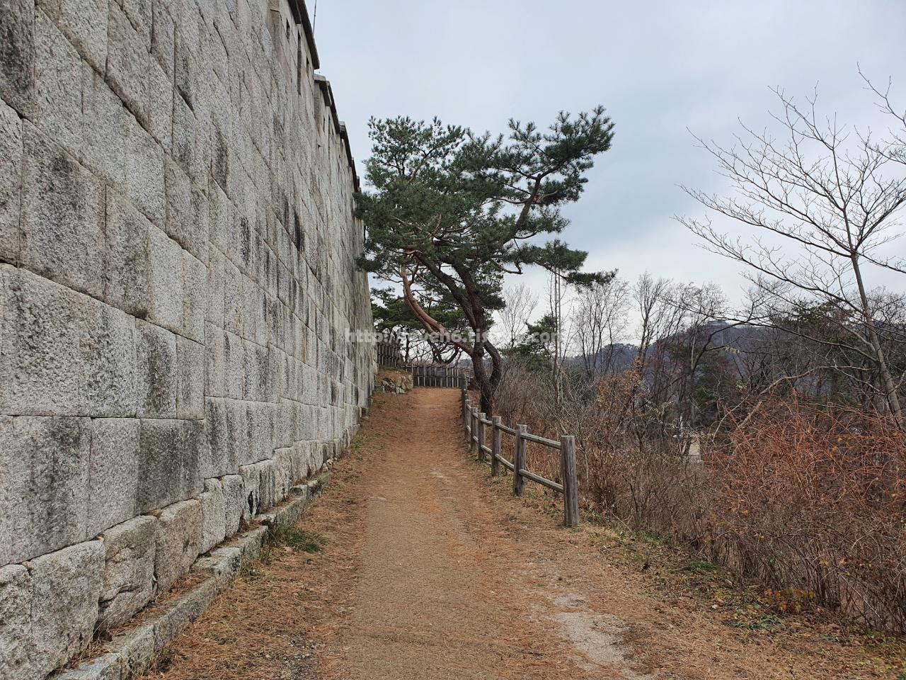 북악산_北岳山_Bukaksan/ 길이 은근 예뻤어요 왼쪽으로는 성벽이 오른쪽으로는 나무들과 울타리가 있습니다 조금 걷다가 힘들다고 느껴질때쯤 벤치가 있어서 아주 기뻤답니다 하하