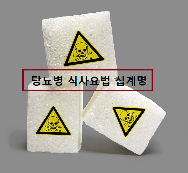  당뇨병 식사요법 10계명. 당뇨병 혈당관리. 당뇨병 합병증 관리.