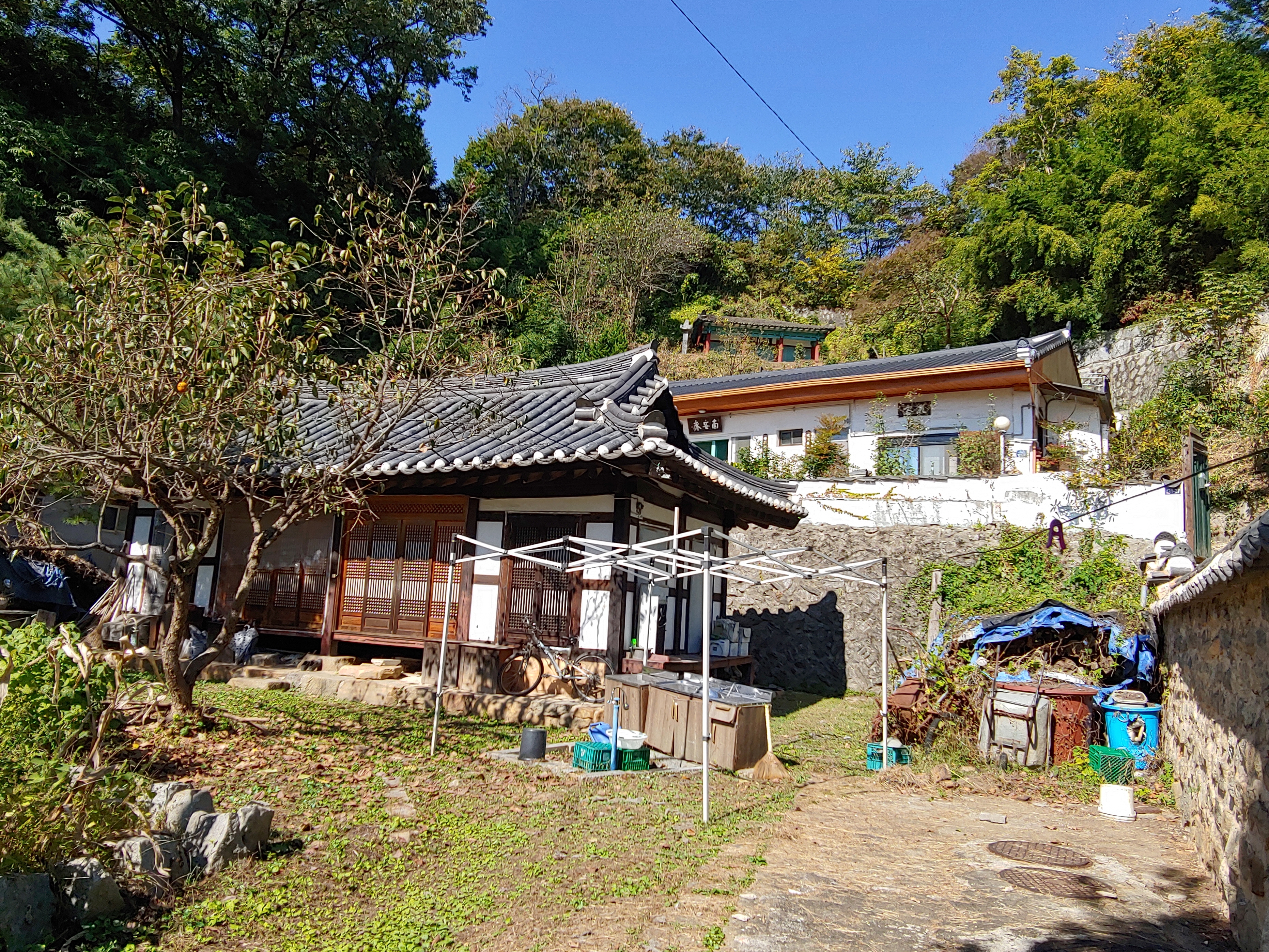 전주한옥마을 가볼만한 곳, 은행나무가 너무 멋진 전주향교 - 휴식같은 여행으로의 초대 이미지