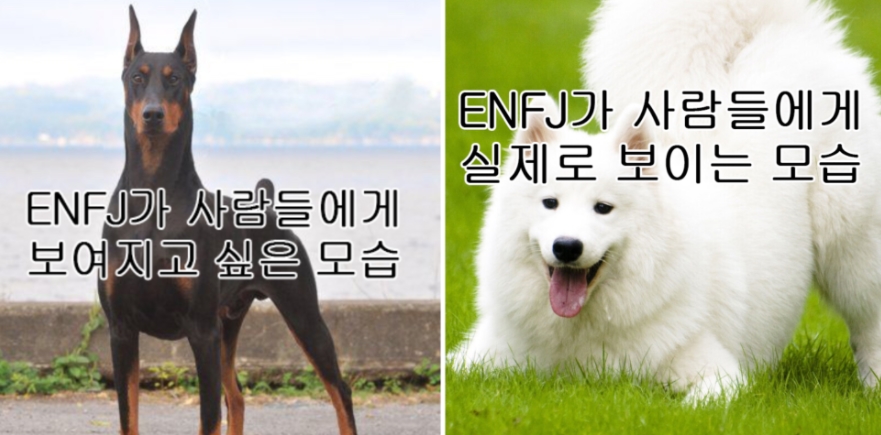 MBTI 가장 적은 유형 TOP3