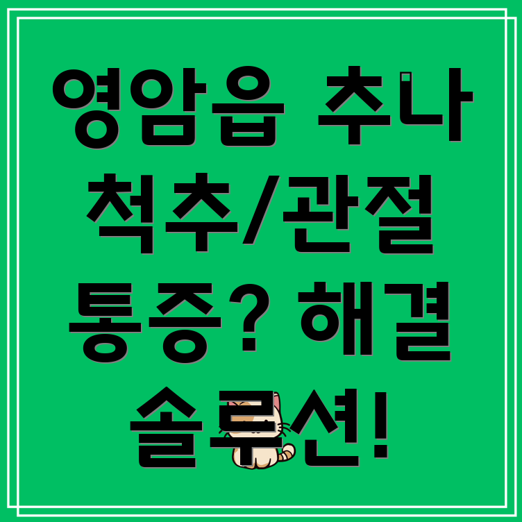 영암읍 추나요법