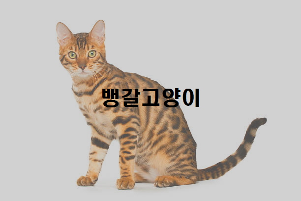  노다지네 잡학다식