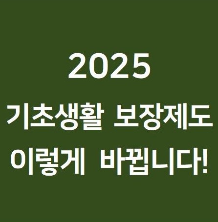 2025 기초생활보장제도 이렇게 바뀝니다! ❘ 기초생활수급자 필독 정보