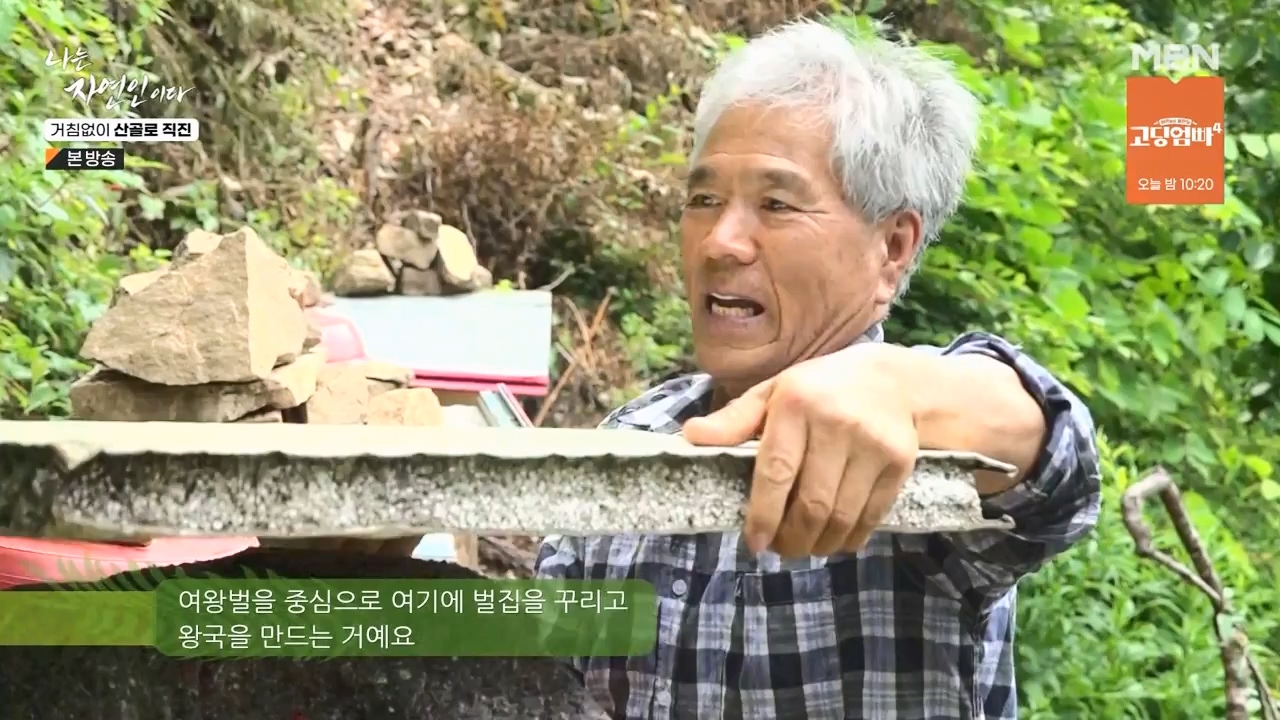 나는 자연인이다.E564.230727p-NEXT.mp4_20230727_211934.763.jpg