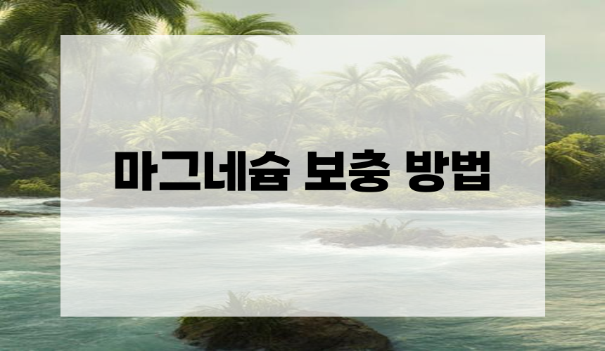 5. 마그네슘 보충 방법