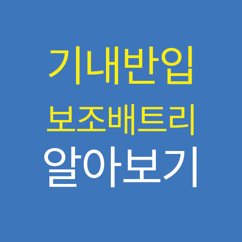  기내반입 가능 카카오프렌즈 맥세이프 보조배터리 정보 확인