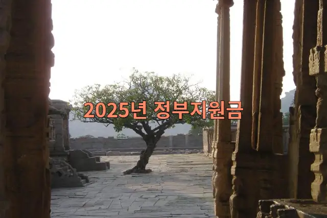 2025년 소상공인 지원금 관련 이미지