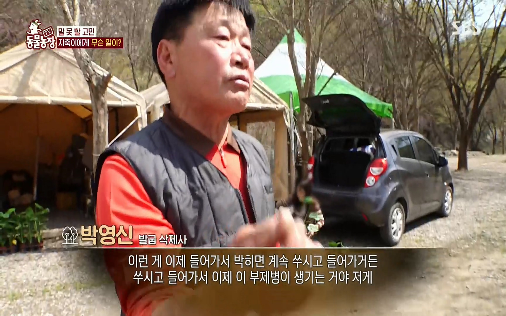 TV 동물농장.E1074.220619p.H264-F1RST.mp4_20220619_181702.956.jpg