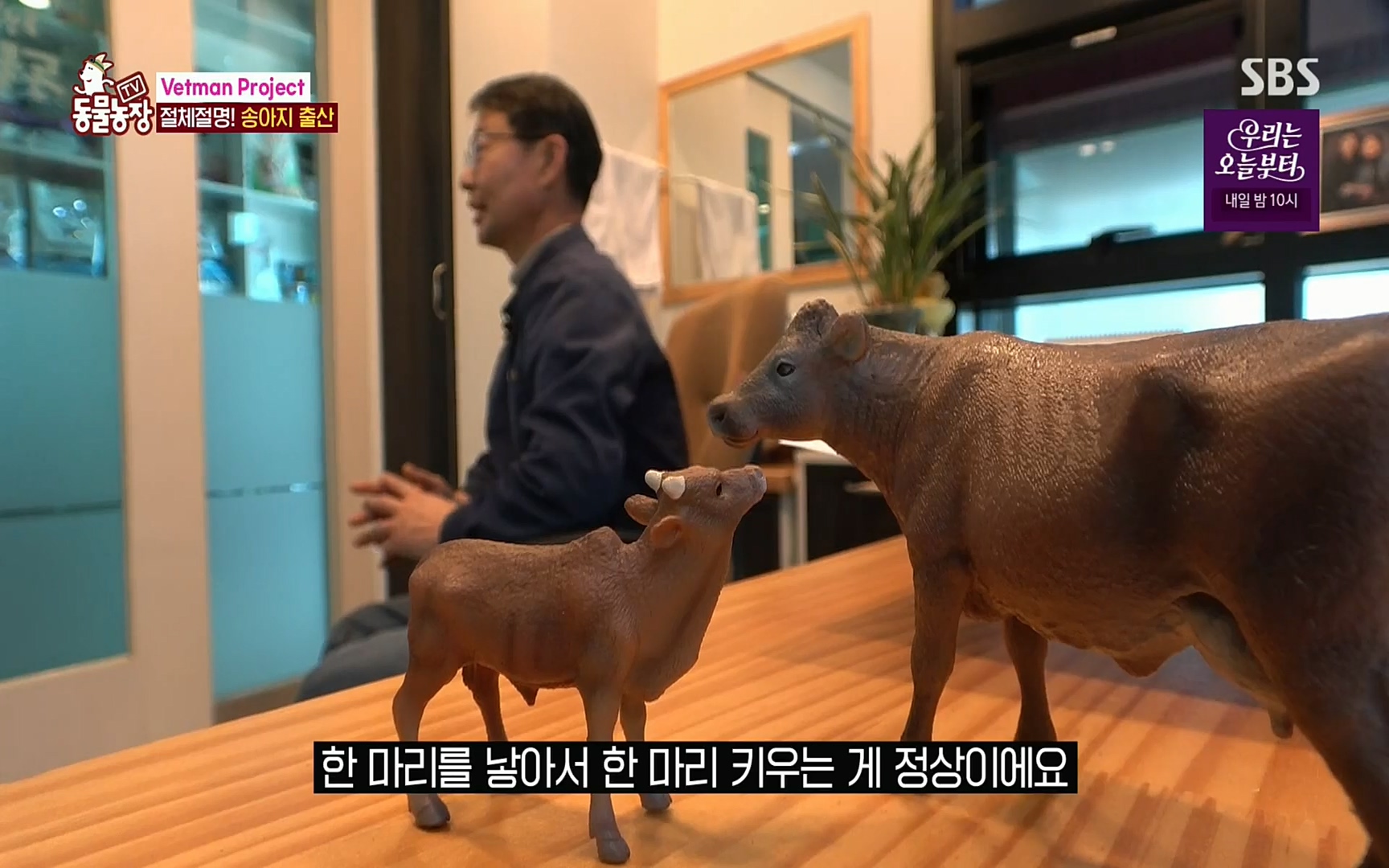 TV 동물농장.E1069.220515p.H264-F1RST.mp4_20220515_180117.244.jpg