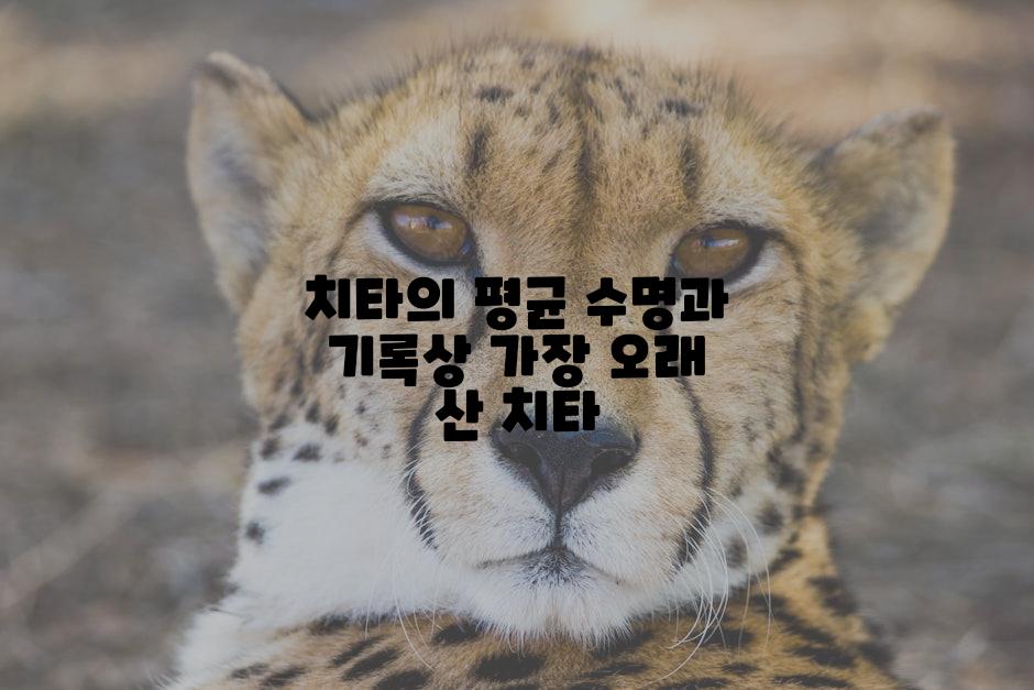 치타의 평균 수명과 기록상 가장 오래 산 치타