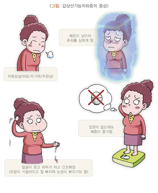 갑상샘 저하증 갑상선 기능저하증 증상 수치 치료_3