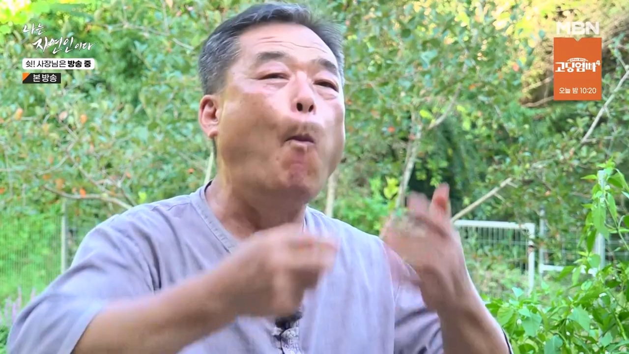 나는 자연인이다.E573.230928p-NEXT.mp4_20230929_174819.705.jpg