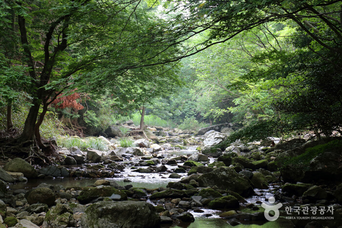 가을 단풍 여행지 추천 장소 _ 두륜산&amp;#44; 무등산&amp;#44; 내장산&amp;#44; 계룡산&amp;#44; 북한산 