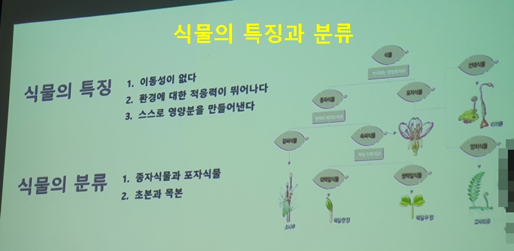 식물의 특징과 분류