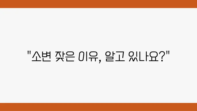 소변자주마려움 남자 여자 이면 원인 및 해결방법