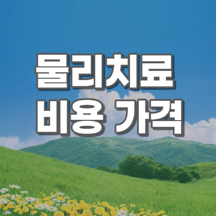 물리치료-비용