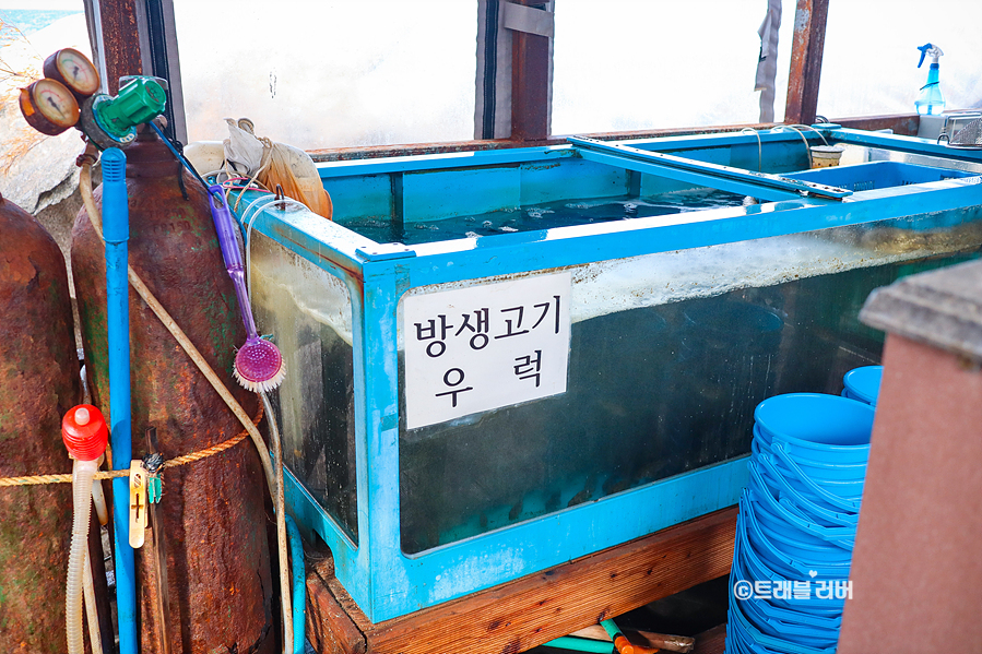 동해바다 볼거리 양양 휴휴암 5