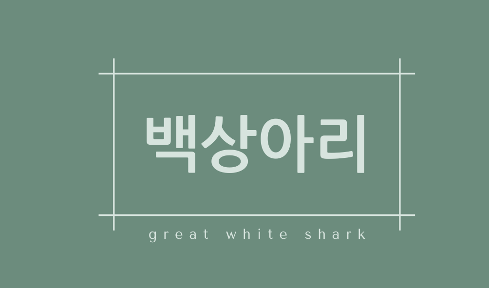 백상아리(great white shark)
