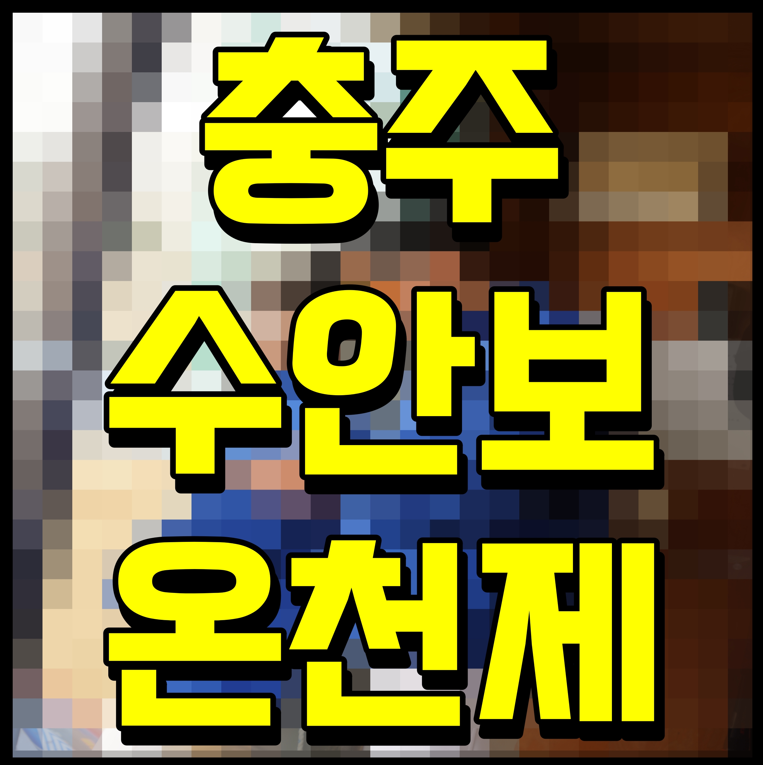  충주 수안보 온천제 개막