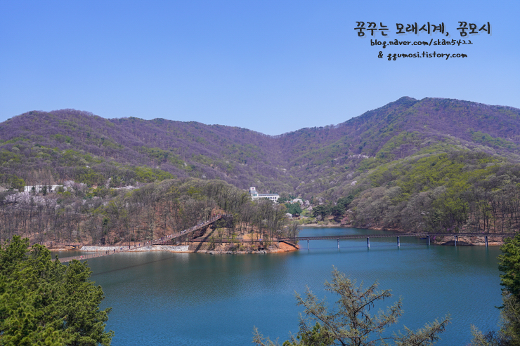 호수카페 이미지