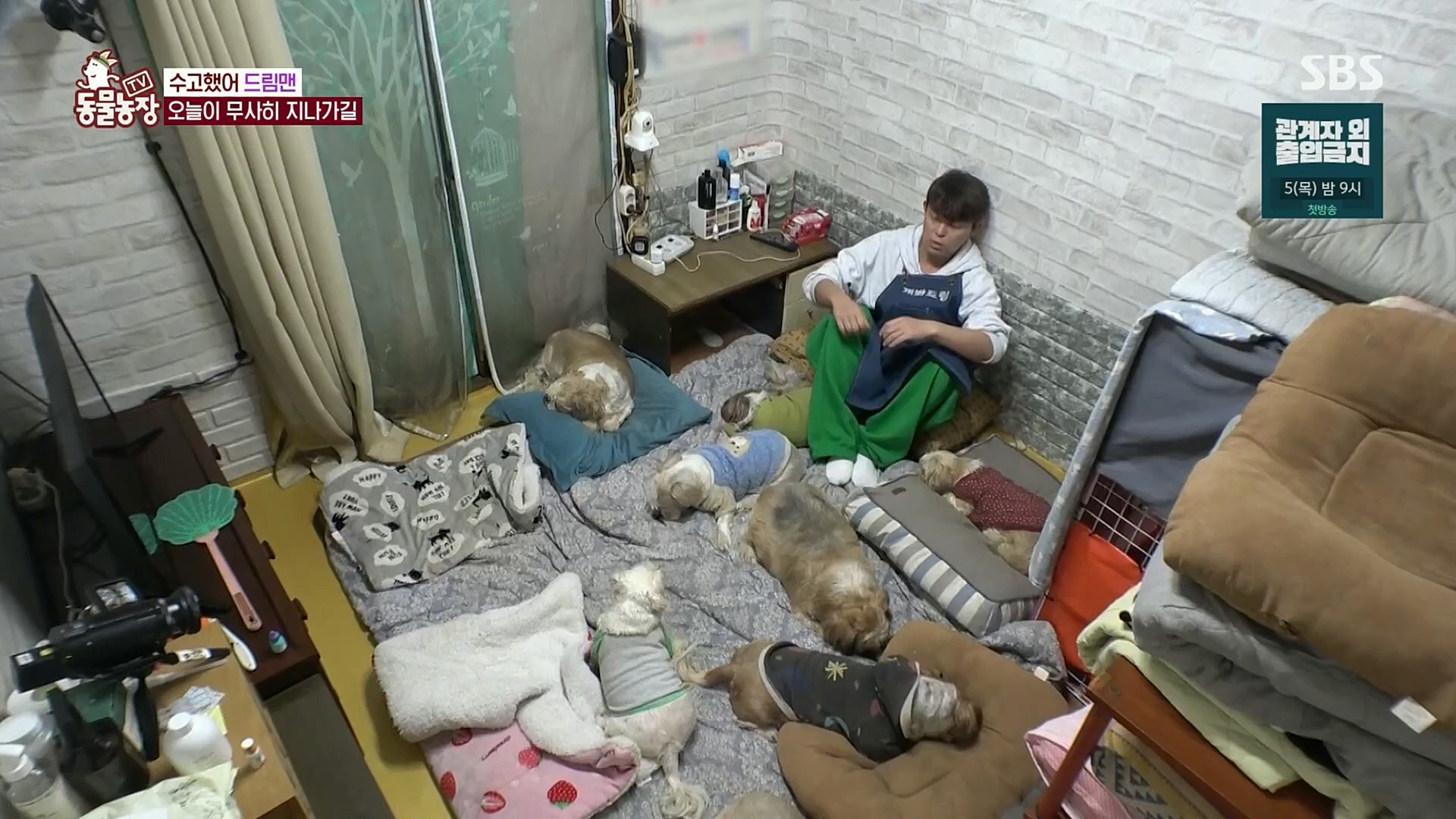 TV 동물농장.E1102.230101p.H264-F1RST.mp4_20230101_182855.570.jpg