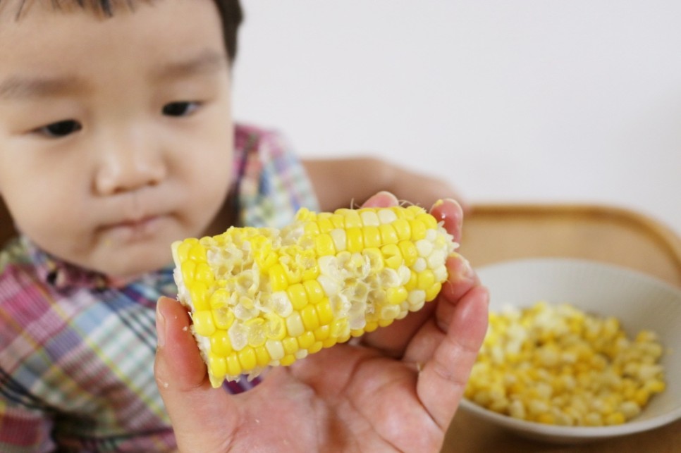 초당 옥수수 보관 냉동 냉장 2가지 방법 18