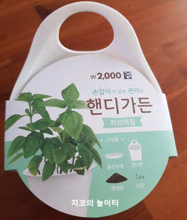  바질 키우기 그리고 1주일 후 바질 싹이 난 모습