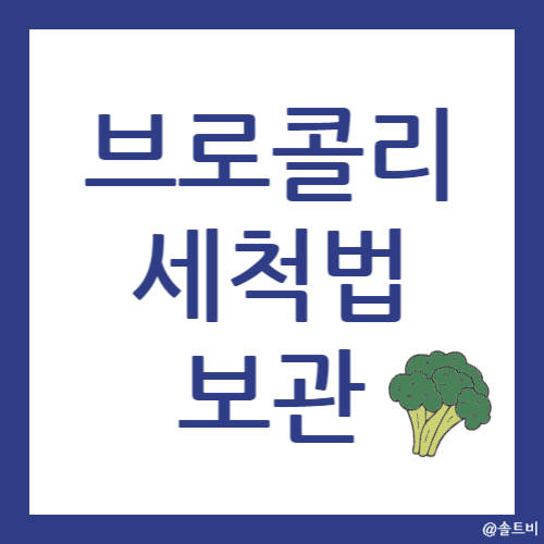 브로콜리 세척법과 보관