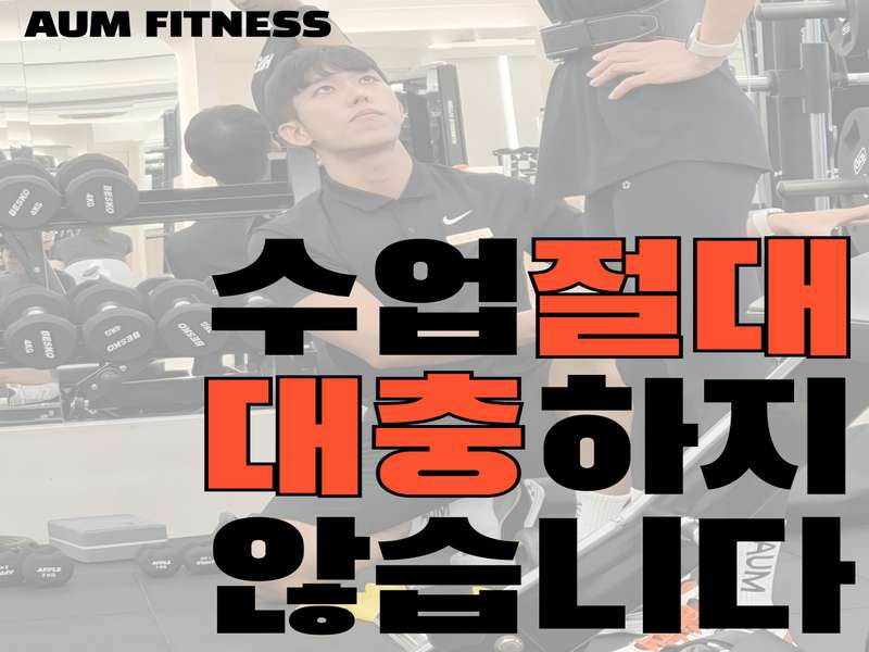 4.1 전문 트레이너와 프로그램