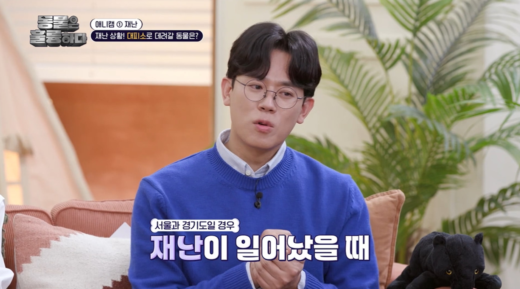 반려인들은 알아두면 좋을 만한 정보들...jpg | 인스티즈