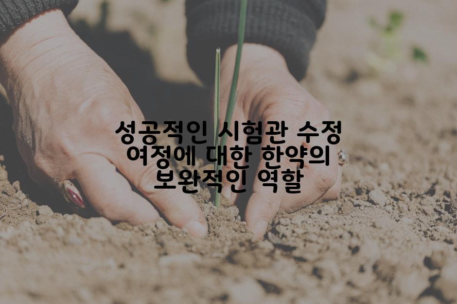 성공적인 시험관 수정 여정에 대한 한약의 보완적인 역할