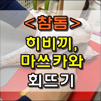  집에서 참돔 히비끼, 마스카와 회뜨기