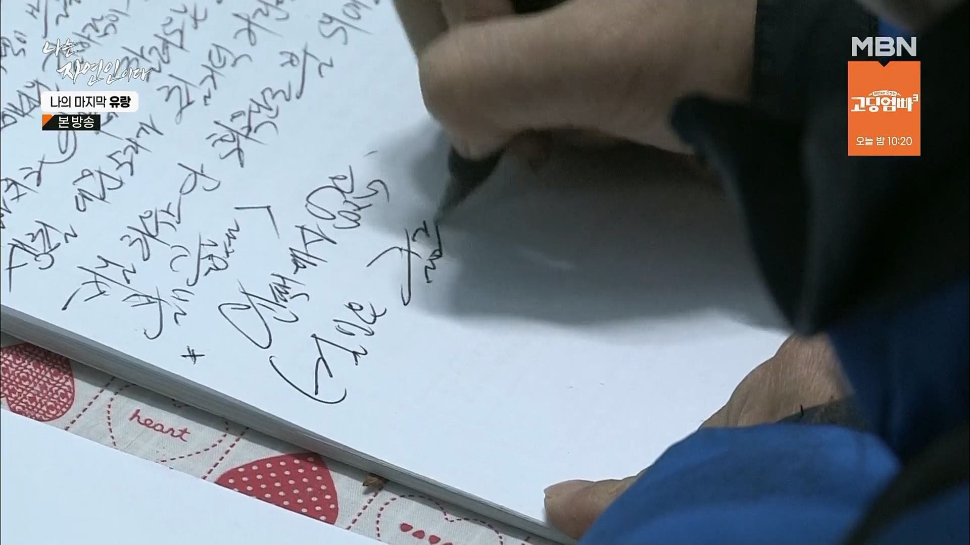 나는 자연인이다.E541.230215p.H264-F1RST.mp4_20230216_192704.012.jpg