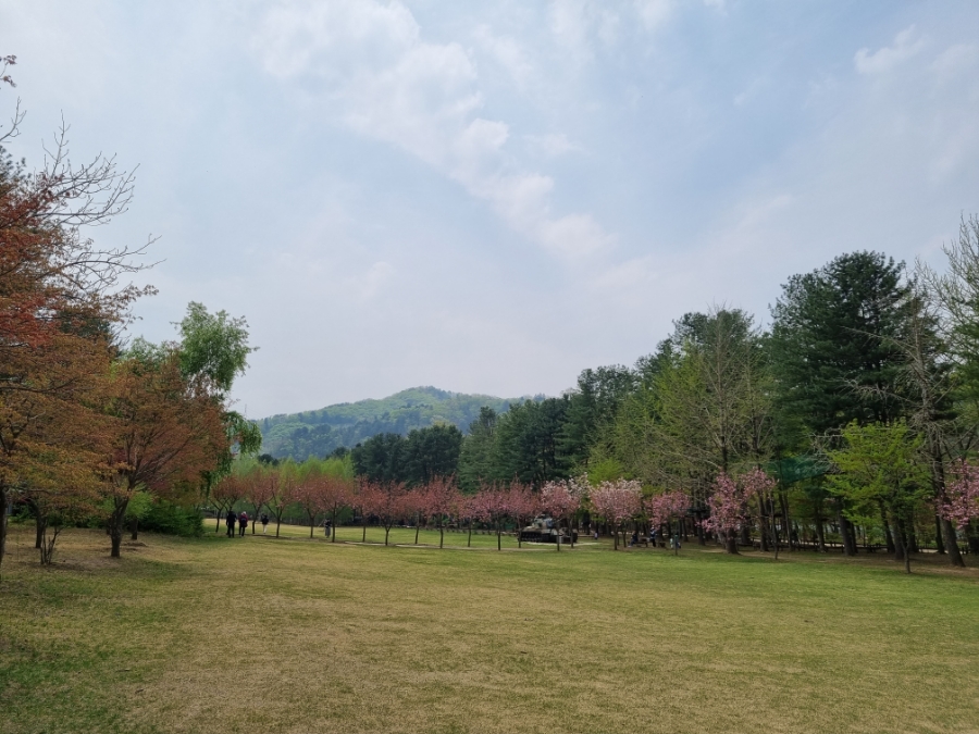 남이섬 배시간표 남이섬 배시간표, 할인 방법, 80