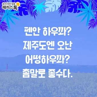 방언과 사투리 차이 의미 유래_25