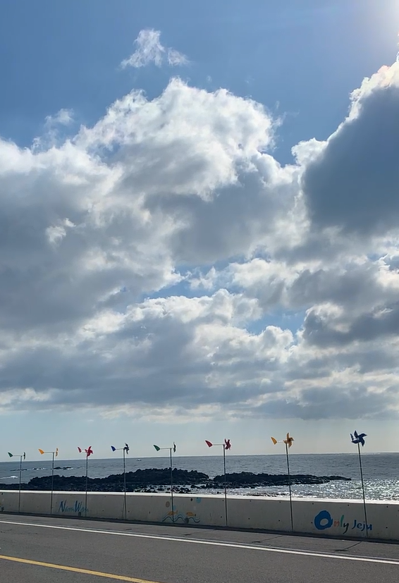  [겨울/제주도] 5박6일 여행기 (by 백수가 된 쿼카군)