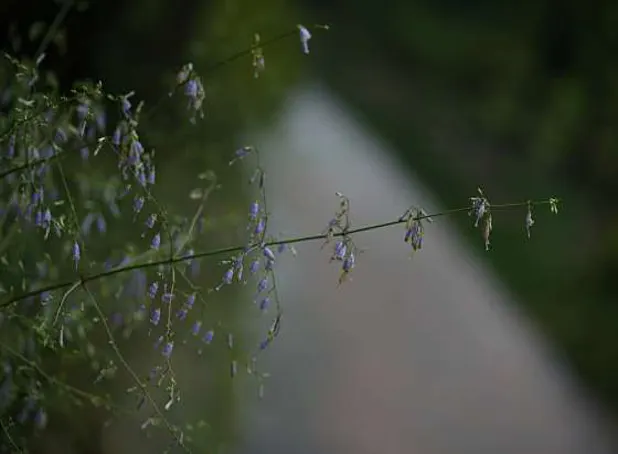 황학산수목원