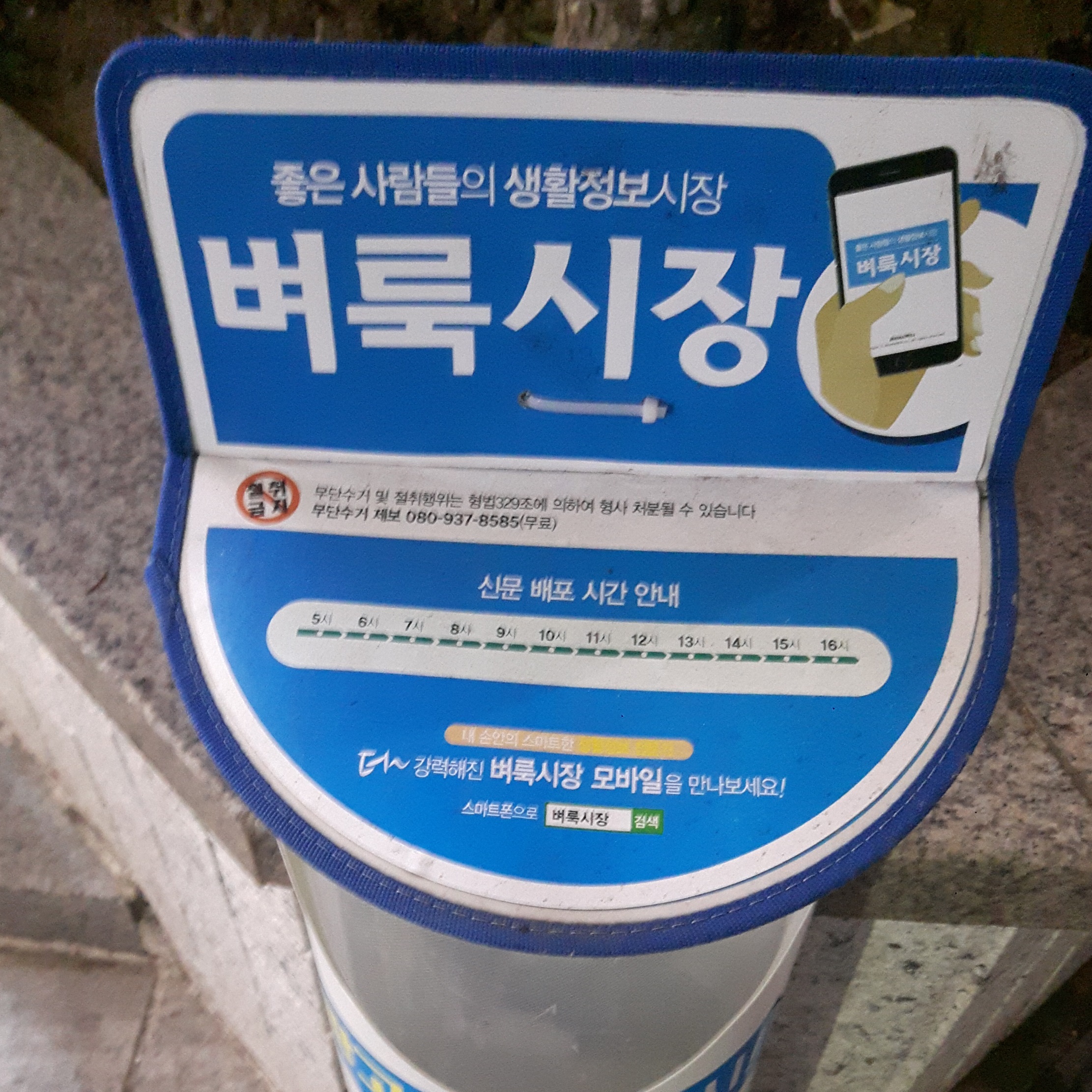 강릉 벼룩시장