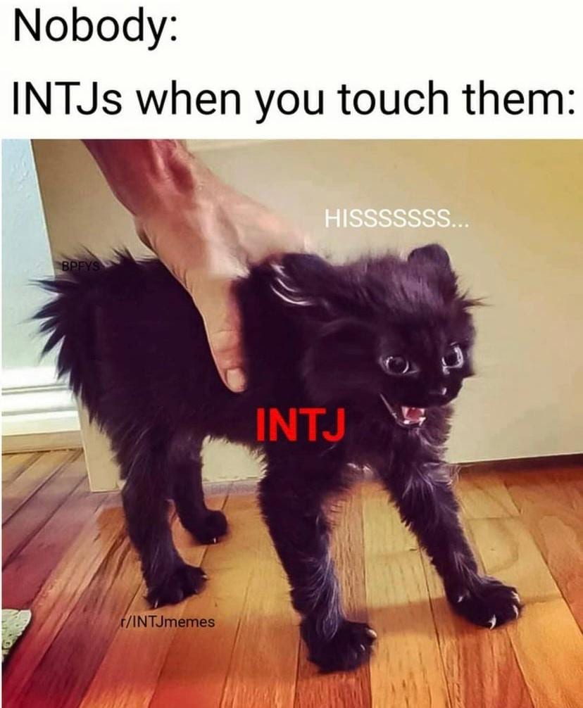 intj-밈-meme